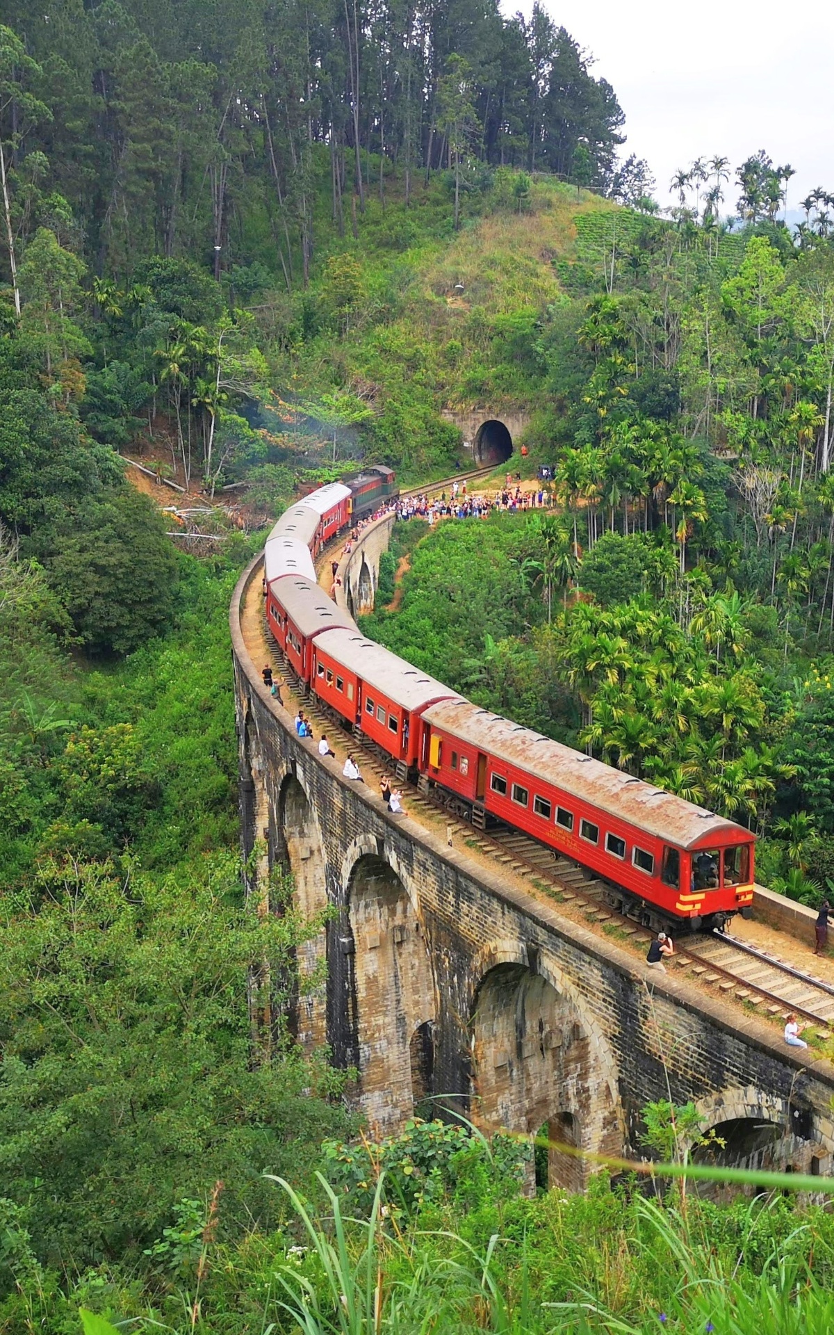 Scenic Train Journeys